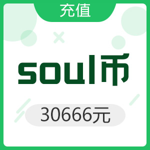 Soul币 30666元充值
